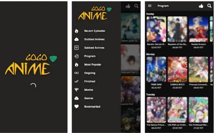 How to Download Video from Gogoanime APK?